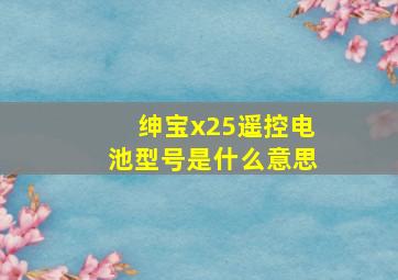 绅宝x25遥控电池型号是什么意思