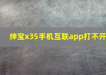 绅宝x35手机互联app打不开