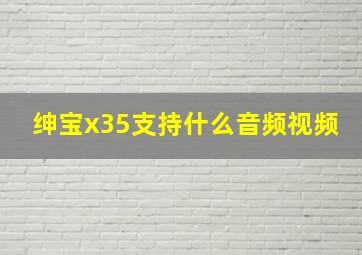 绅宝x35支持什么音频视频