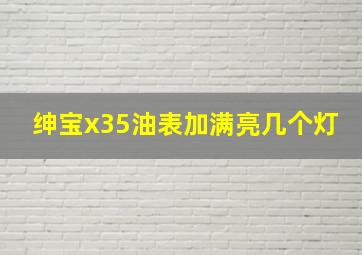 绅宝x35油表加满亮几个灯