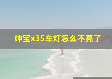 绅宝x35车灯怎么不亮了