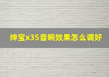 绅宝x35音响效果怎么调好