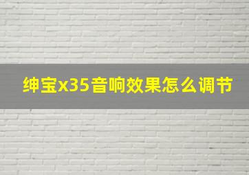 绅宝x35音响效果怎么调节