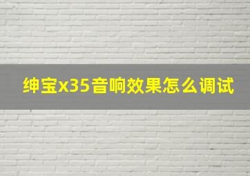 绅宝x35音响效果怎么调试