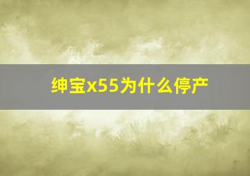 绅宝x55为什么停产