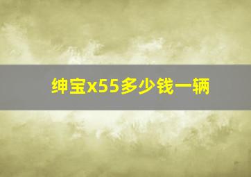 绅宝x55多少钱一辆