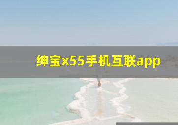 绅宝x55手机互联app