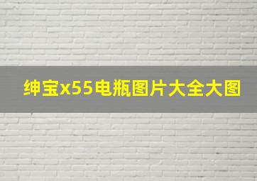 绅宝x55电瓶图片大全大图