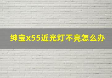 绅宝x55近光灯不亮怎么办