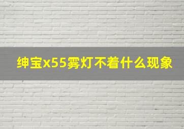 绅宝x55雾灯不着什么现象