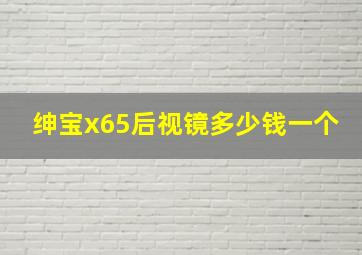 绅宝x65后视镜多少钱一个