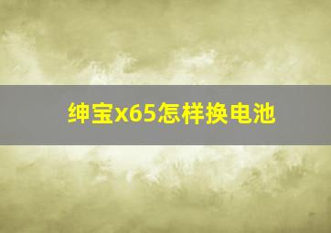 绅宝x65怎样换电池