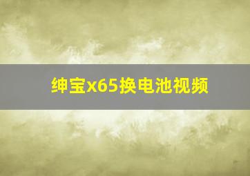 绅宝x65换电池视频