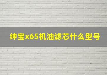 绅宝x65机油滤芯什么型号