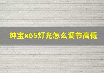 绅宝x65灯光怎么调节高低