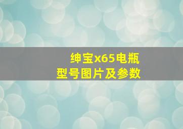 绅宝x65电瓶型号图片及参数