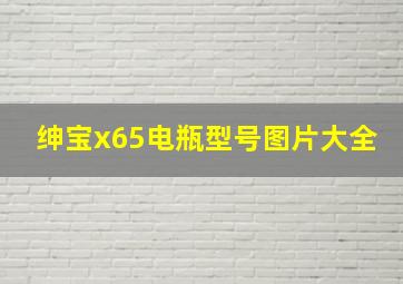 绅宝x65电瓶型号图片大全