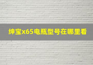 绅宝x65电瓶型号在哪里看