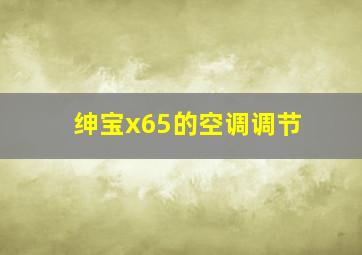 绅宝x65的空调调节