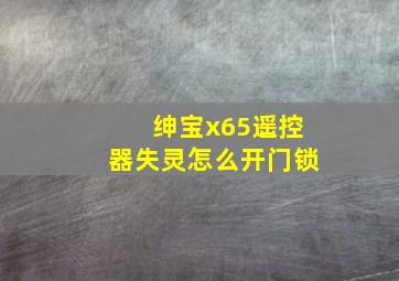 绅宝x65遥控器失灵怎么开门锁