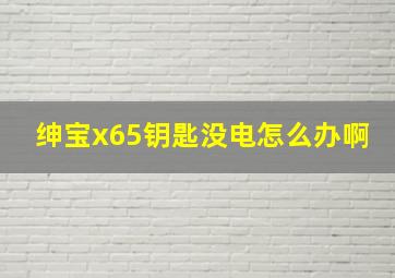 绅宝x65钥匙没电怎么办啊