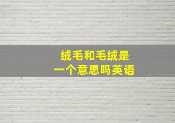 绒毛和毛绒是一个意思吗英语