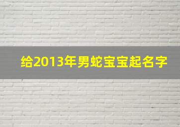 给2013年男蛇宝宝起名字