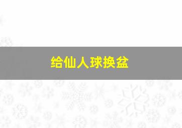 给仙人球换盆