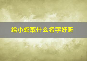 给小蛇取什么名字好听