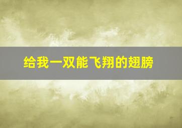 给我一双能飞翔的翅膀