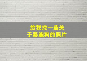 给我找一些关于泰迪狗的照片