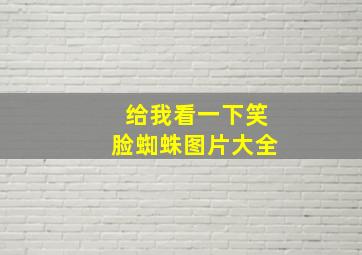 给我看一下笑脸蜘蛛图片大全