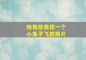 给我给我找一个小兔子飞的照片