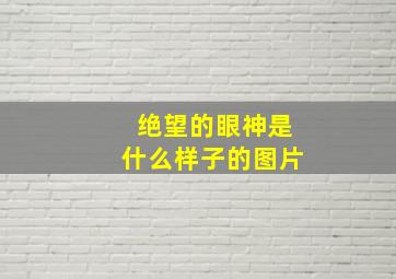 绝望的眼神是什么样子的图片