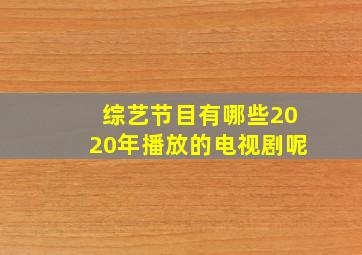 综艺节目有哪些2020年播放的电视剧呢