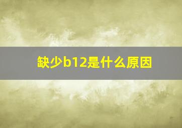 缺少b12是什么原因