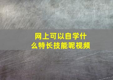 网上可以自学什么特长技能呢视频