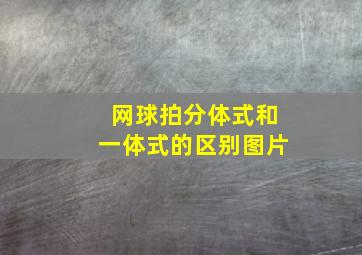 网球拍分体式和一体式的区别图片