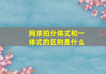 网球拍分体式和一体式的区别是什么