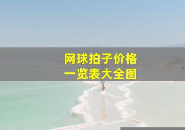 网球拍子价格一览表大全图