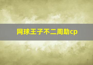 网球王子不二周助cp