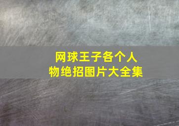 网球王子各个人物绝招图片大全集