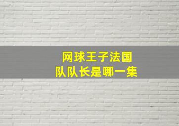 网球王子法国队队长是哪一集