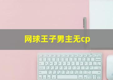 网球王子男主无cp