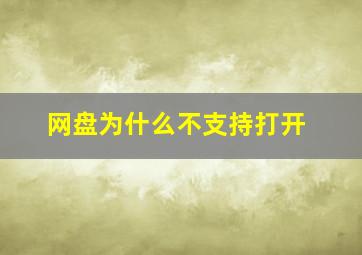 网盘为什么不支持打开