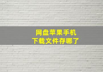 网盘苹果手机下载文件存哪了