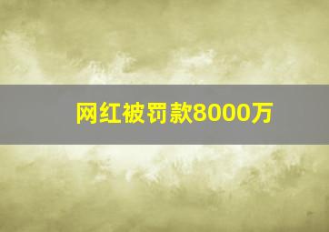 网红被罚款8000万