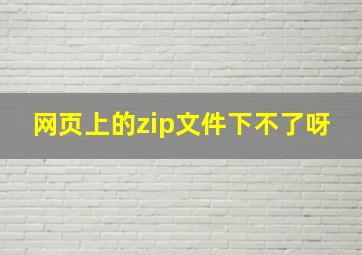 网页上的zip文件下不了呀