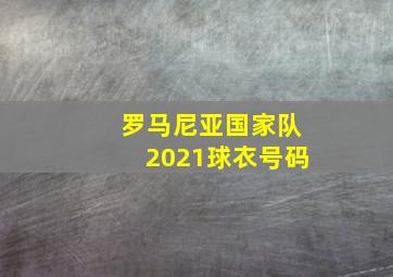 罗马尼亚国家队2021球衣号码