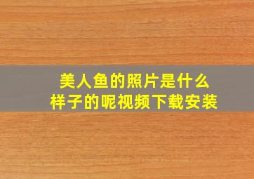 美人鱼的照片是什么样子的呢视频下载安装